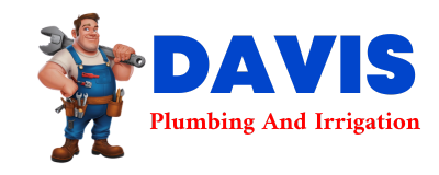 Trusted plumber in BOTSFORD